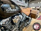 Thumbnail Photo 3 for 2020 Indian Scout