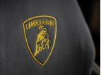 Thumbnail Photo 55 for 2020 Lamborghini Urus