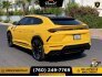 2020 Lamborghini Urus for sale 101548392
