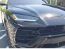 2020 Lamborghini Urus for sale 101733564
