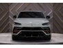 2020 Lamborghini Urus for sale 101755057