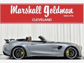 2020 Mercedes-Benz AMG GT R Roadster for sale 101837872