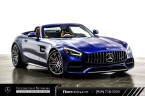 2020 Mercedes-Benz AMG GT for sale 101934345