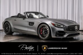 2020 Mercedes-Benz AMG GT for sale 101966081