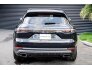 2020 Porsche Cayenne for sale 101668948