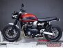 2020 Triumph Speed Twin for sale 201401071