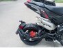 2021 Benelli TNT 135 for sale 201085722