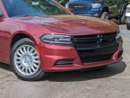 Thumbnail Photo 1 for 2021 Dodge Charger