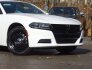 2021 Dodge Charger for sale 101646453
