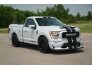 2021 Ford F150 for sale 101741203