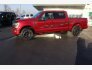 2021 Ford F150 for sale 101825347