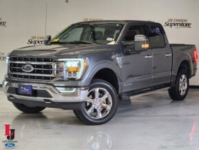 2021 Ford F150 for sale 101864867