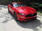 Thumbnail Photo 5 for 2021 Ford Mustang GT