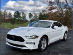 Thumbnail Photo 4 for 2021 Ford Mustang