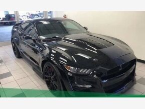 2021 Ford Mustang Shelby GT500 for sale 101804368