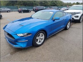 2021 Ford Mustang for sale 101819062