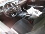 2021 Ford Mustang GT for sale 101820531