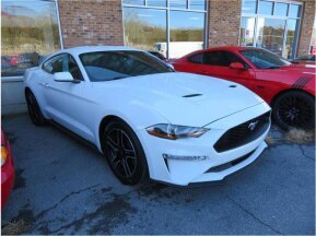 2021 Ford Mustang for sale 101868160