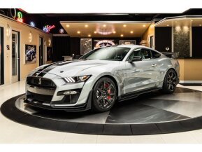 2021 Ford Mustang Shelby GT500 for sale 101739621