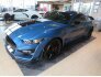 2021 Ford Mustang Shelby GT500 for sale 101757728