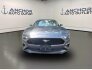 2021 Ford Mustang GT Premium for sale 101783075