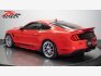 2021 Ford Mustang GT Coupe for sale 101792407