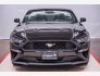 2021 Ford Mustang for sale 101839244