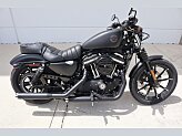 2021 Harley-Davidson Sportster Iron 883 for sale 201296394