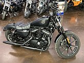 2021 Harley-Davidson Sportster Iron 883 for sale 201614758