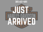 Thumbnail Photo 11 for 2021 Harley-Davidson Pan America Special