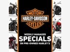 Thumbnail Photo 28 for 2021 Harley-Davidson Pan America Special