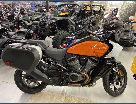 Photo 1 for 2021 Harley-Davidson Pan America Special