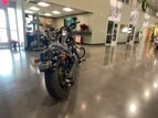 Thumbnail Photo 14 for 2021 Harley-Davidson Softail Low Rider S