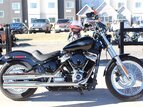 Thumbnail Photo 0 for 2021 Harley-Davidson Softail