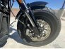 2021 Harley-Davidson Softail Fat Bob 114 for sale 201344887