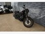 2021 Harley-Davidson Softail for sale 201368812