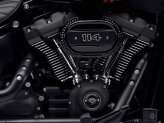 2021 Harley-Davidson Softail