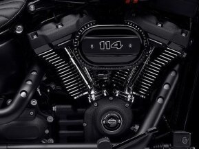 2021 Harley-Davidson Softail for sale 201399370