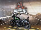Thumbnail Photo 3 for 2021 Harley-Davidson Sportster Iron 1200