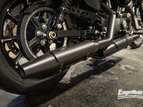 Thumbnail Photo 14 for 2021 Harley-Davidson Sportster Iron 883
