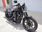 Thumbnail Photo 1 for 2021 Harley-Davidson Sportster Iron 883