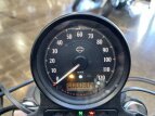 Thumbnail Photo 17 for 2021 Harley-Davidson Sportster Iron 883