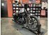 2021 Harley-Davidson Sportster Iron 1200