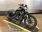 Thumbnail Photo 1 for 2021 Harley-Davidson Sportster Iron 883