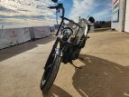 Thumbnail Photo 2 for 2021 Harley-Davidson Sportster Iron 1200