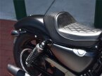Thumbnail Photo 6 for 2021 Harley-Davidson Sportster