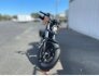 2021 Harley-Davidson Sportster Forty-Eight for sale 201309835