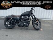 2021 Harley-Davidson Sportster Iron 883