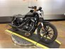 2021 Harley-Davidson Sportster Iron 883 for sale 201351726