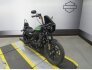 2021 Harley-Davidson Sportster Iron 1200 for sale 201372441